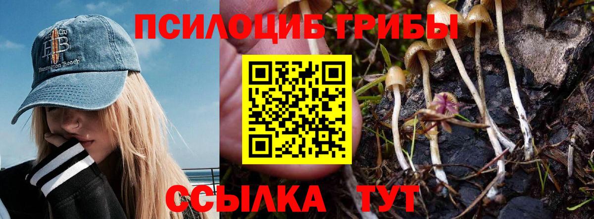 Новотроицк  Галлюциногенные грибы MAGIC MUSHROOMS  Вход с VPN 